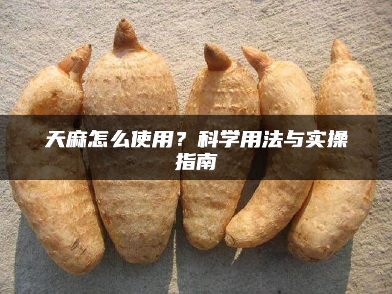 天麻怎么使用？科学用法与实操指南