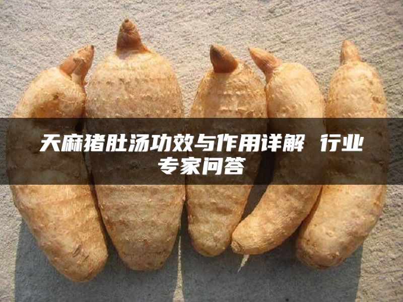 天麻猪肚汤功效与作用详解 行业专家问答