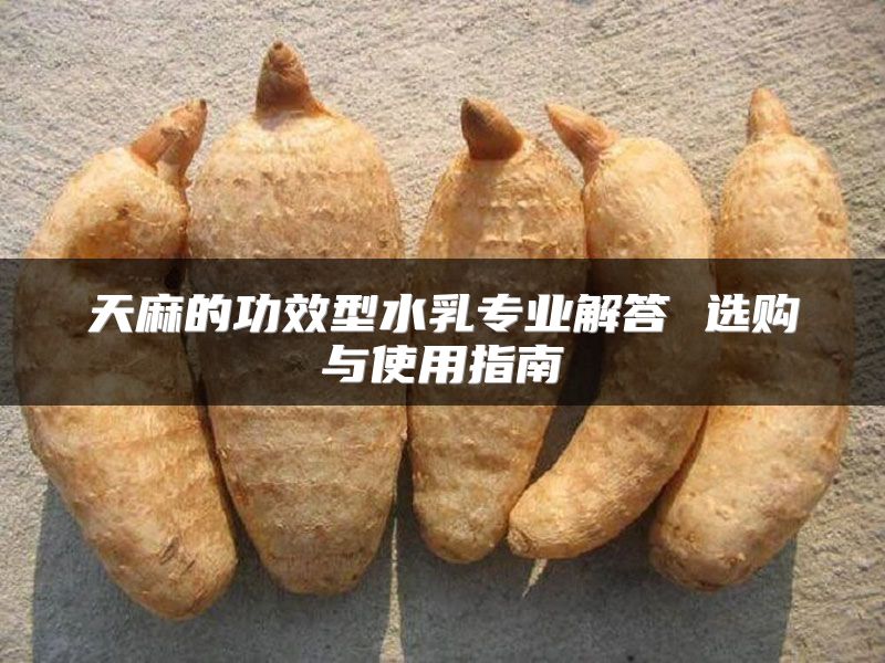 天麻的功效型水乳专业解答 选购与使用指南