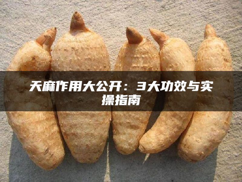 天麻作用大公开:3大功效与实操指南