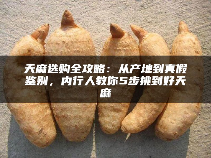 天麻选购全攻略:从产地到真假鉴别,内行人教你5步挑到好天麻