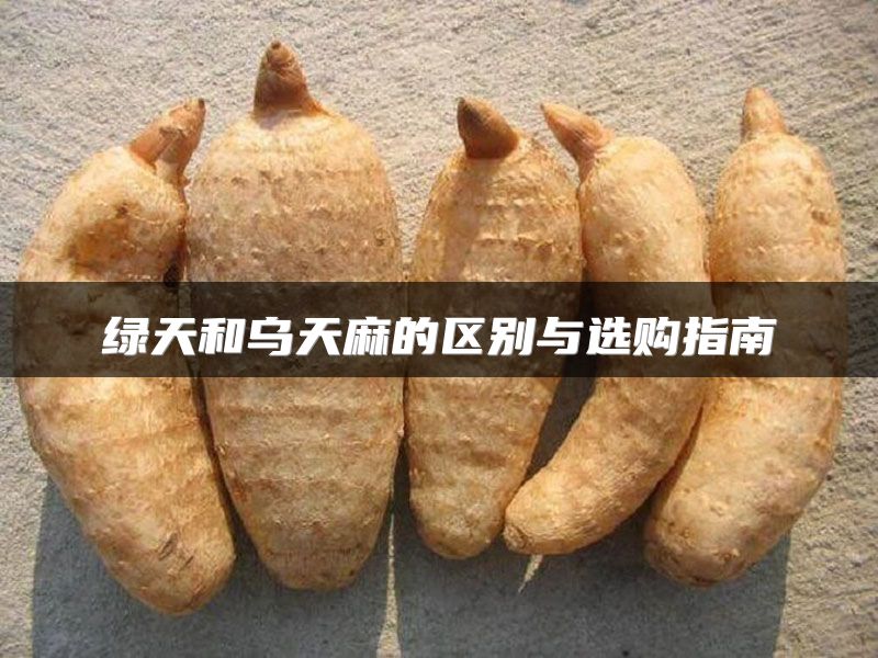 绿天和乌天麻的区别与选购指南