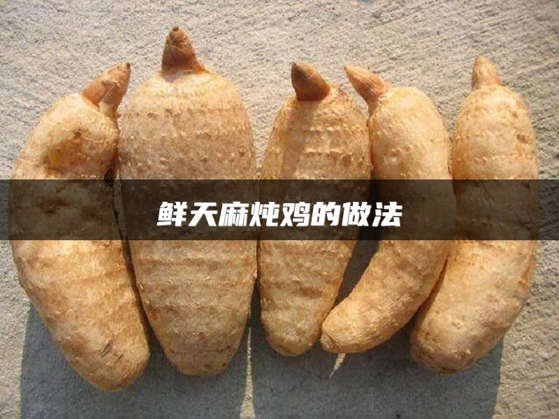 鲜天麻炖鸡的做法