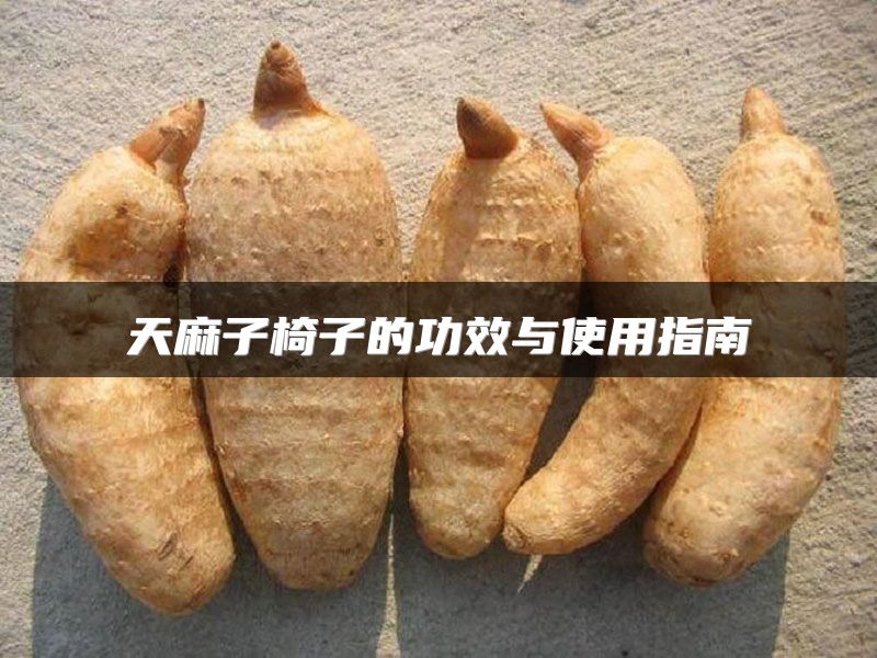 天麻子椅子的功效与使用指南
