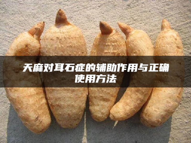 天麻对耳石症的辅助作用与正确使用方法