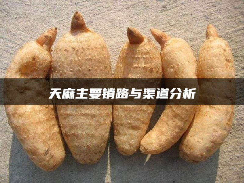 天麻主要销路与渠道分析