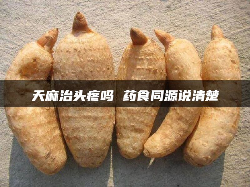 天麻治头疼吗 药食同源说清楚