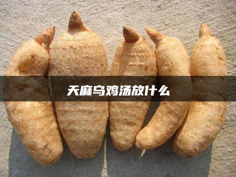 天麻乌鸡汤放什么