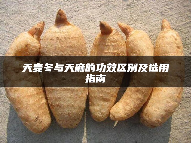 天麦冬与天麻的功效区别及选用指南