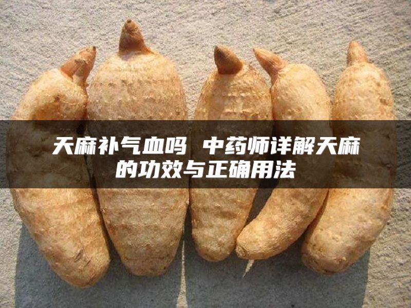 天麻补气血吗 中药师详解天麻的功效与正确用法