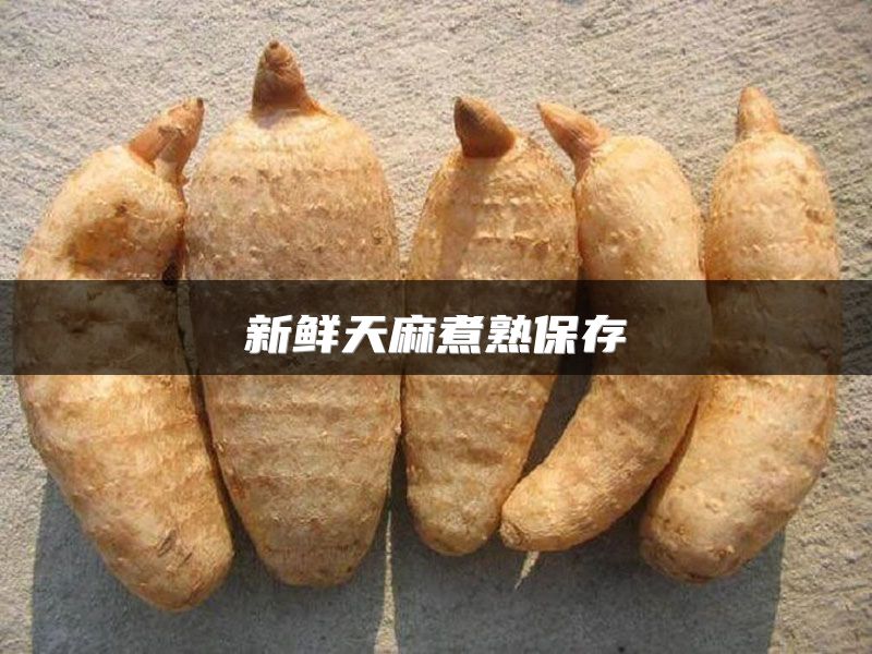 新鲜天麻煮熟保存