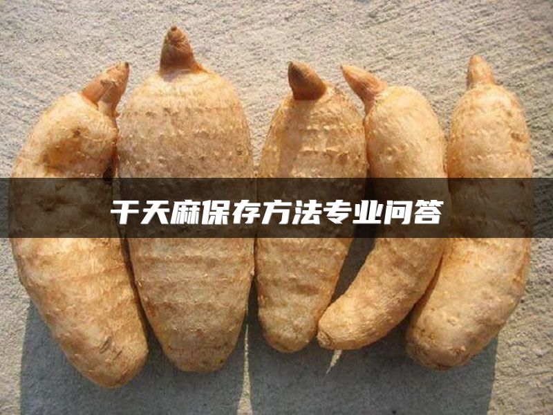 干天麻保存方法专业问答