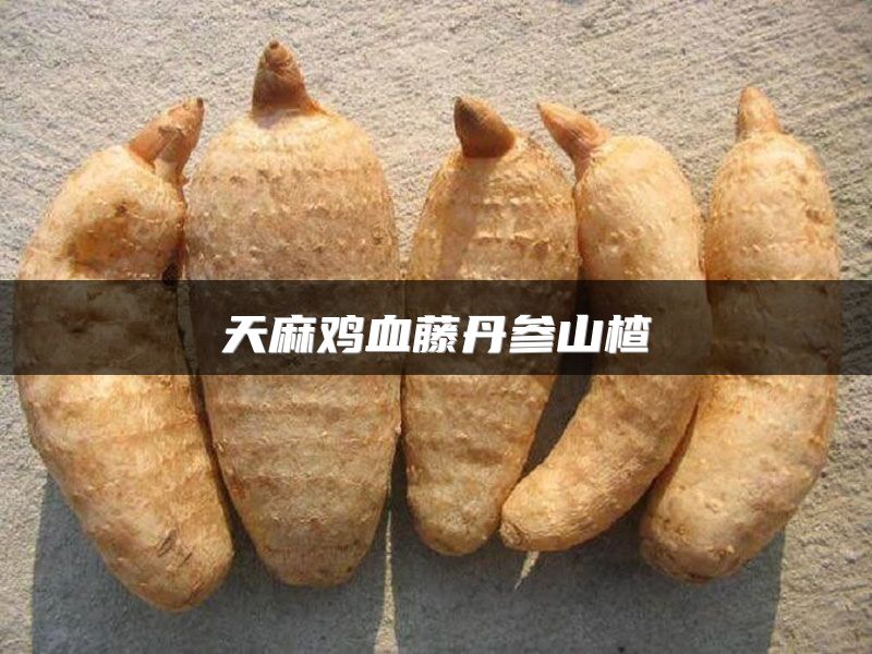 天麻鸡血藤丹参山楂