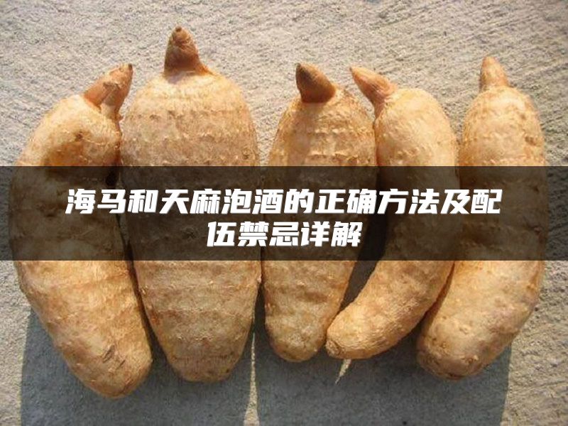 海马和天麻泡酒的正确方法及配伍禁忌详解