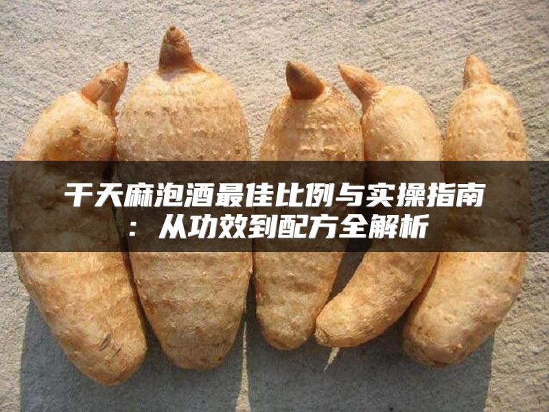 干天麻泡酒最佳比例与实操指南：从功效到配方全解析