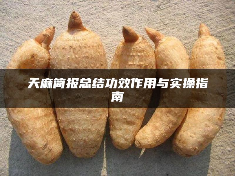 天麻简报总结功效作用与实操指南