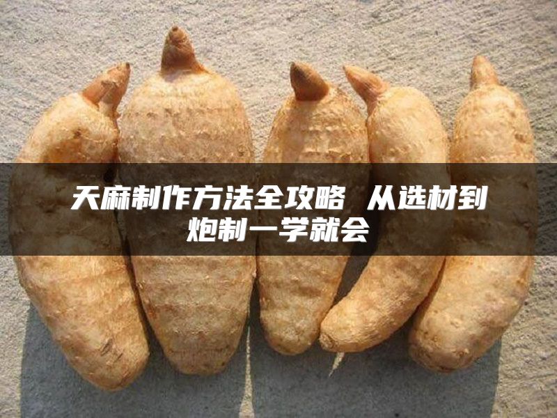 天麻制作方法全攻略 从选材到炮制一学就会