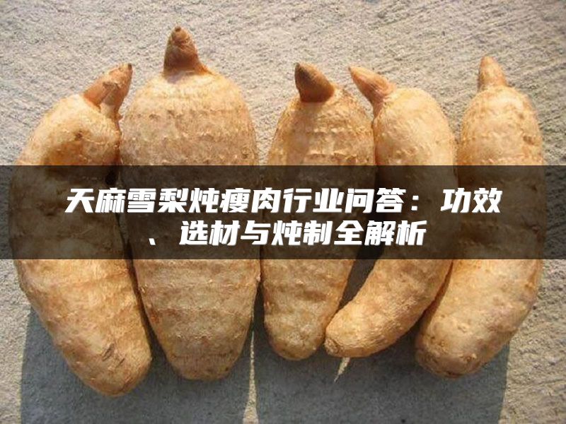 天麻雪梨炖瘦肉行业问答：功效、选材与炖制全解析