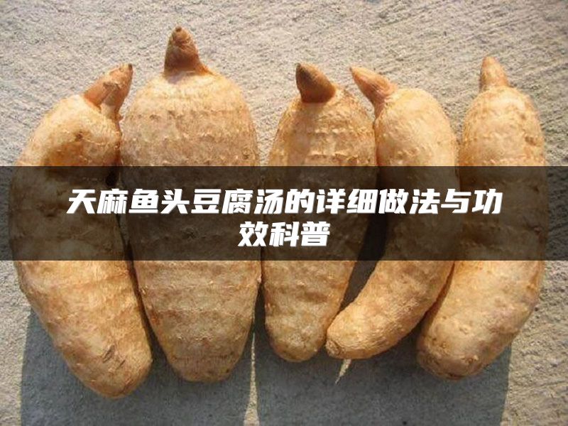 天麻鱼头豆腐汤的详细做法与功效科普