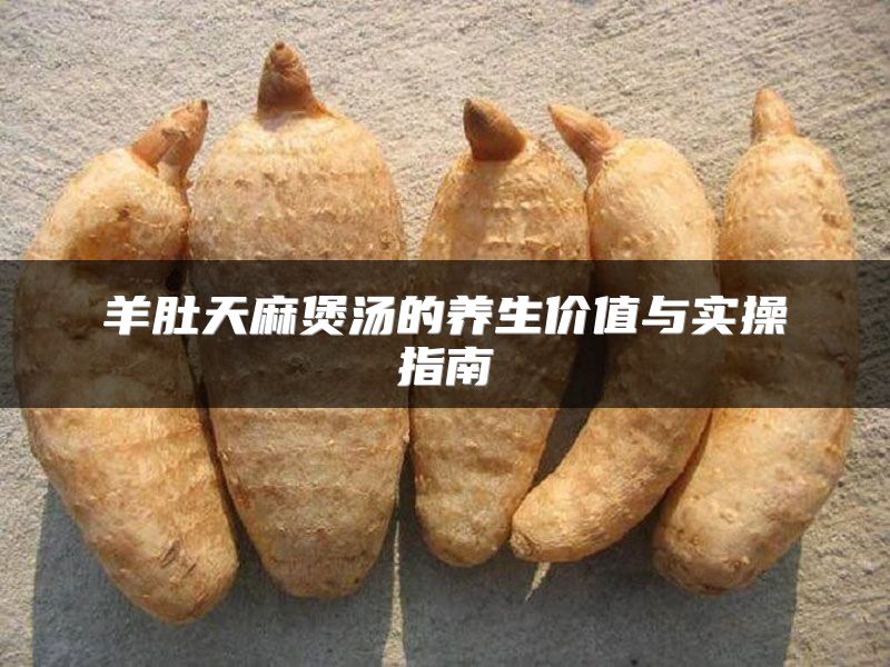 羊肚天麻煲汤的养生价值与实操指南