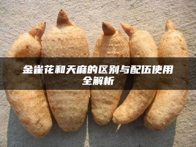 金雀花和天麻的区别与配伍使用全解析