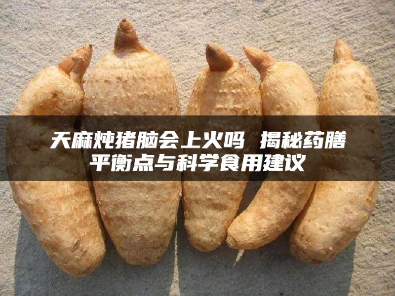 天麻炖猪脑会上火吗 揭秘药膳平衡点与科学食用建议