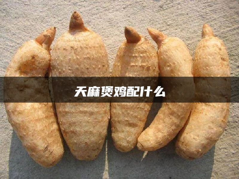 天麻煲鸡配什么