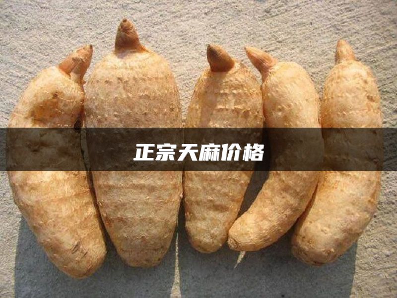 正宗天麻价格