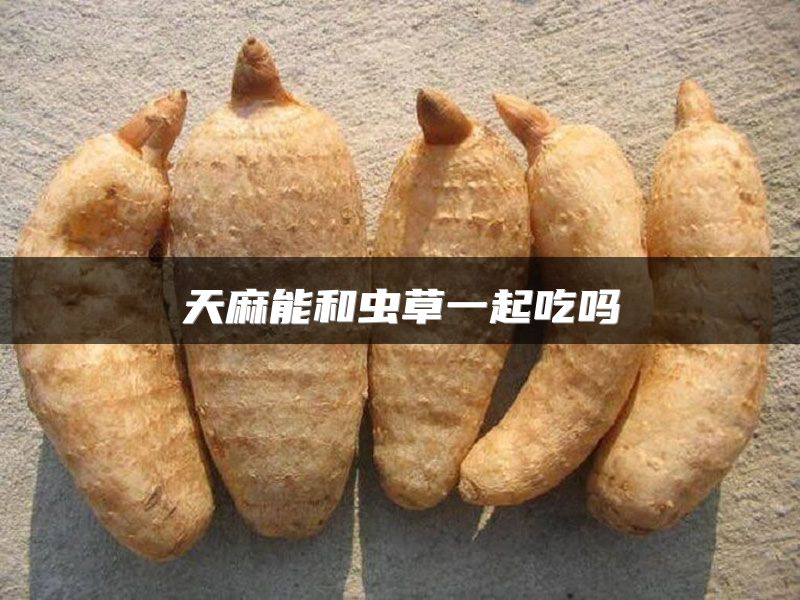 天麻能和虫草一起吃吗
