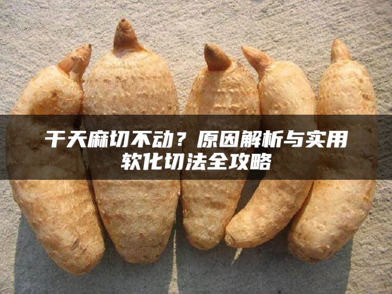 干天麻切不动?原因解析与实用软化切法全攻略