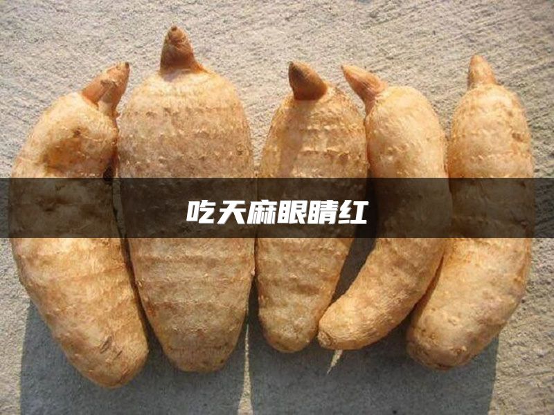 吃天麻眼睛红