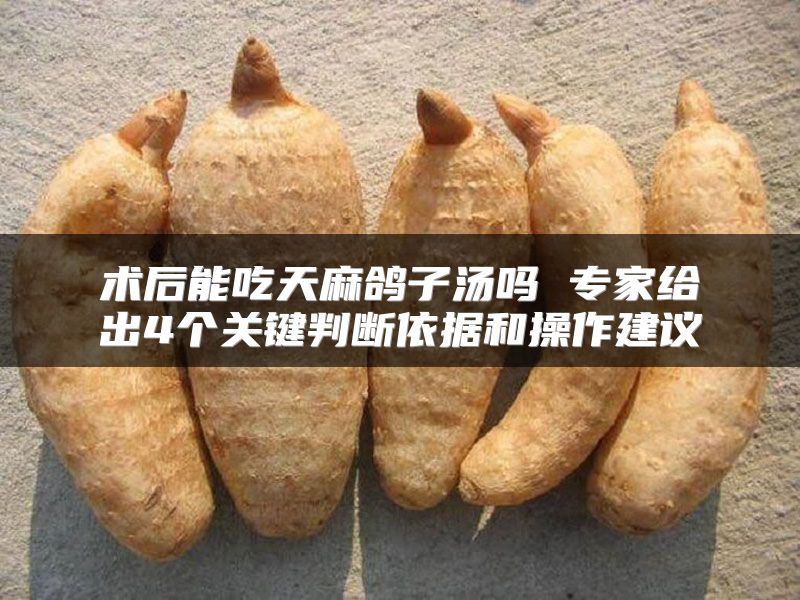 术后能吃天麻鸽子汤吗 专家给出4个关键判断依据和操作建议