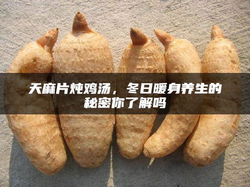 天麻片炖鸡汤,冬日暖身养生的秘密你了解吗