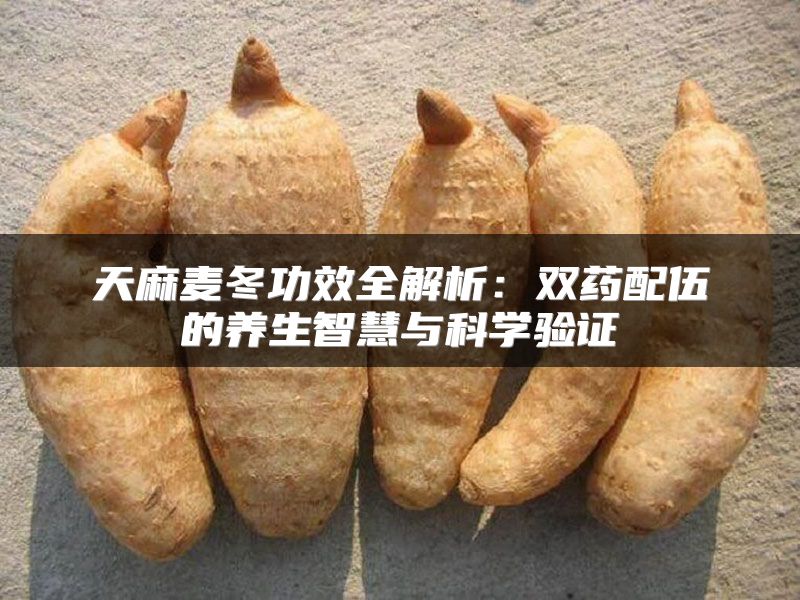 天麻麦冬功效全解析:双药配伍的养生智慧与科学验证