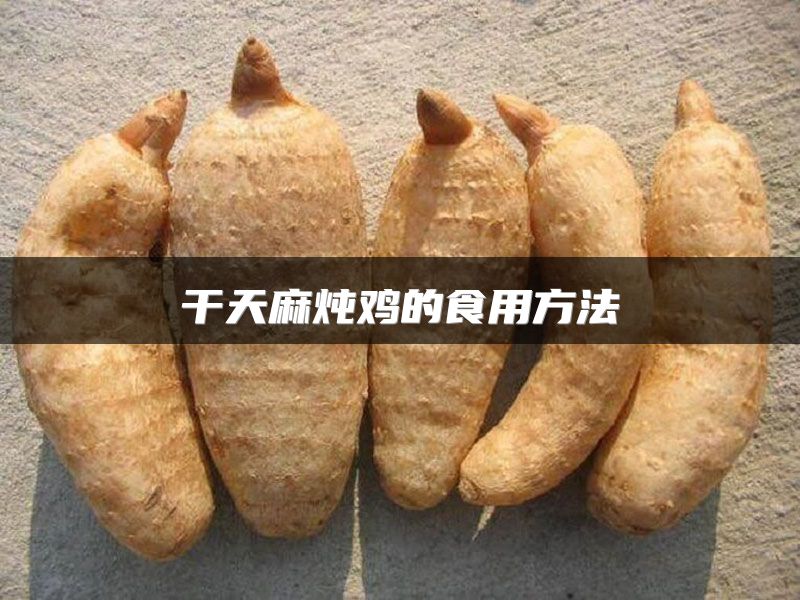 干天麻炖鸡的食用方法