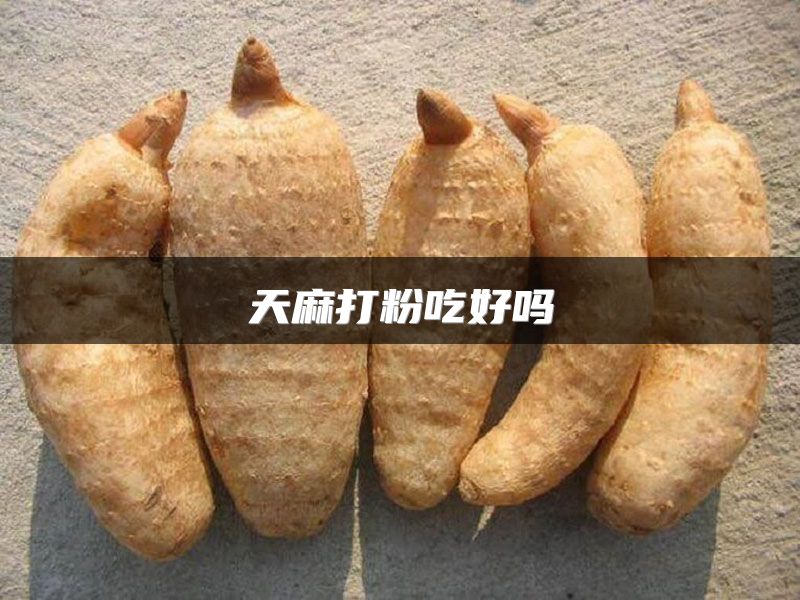 天麻打粉吃好吗