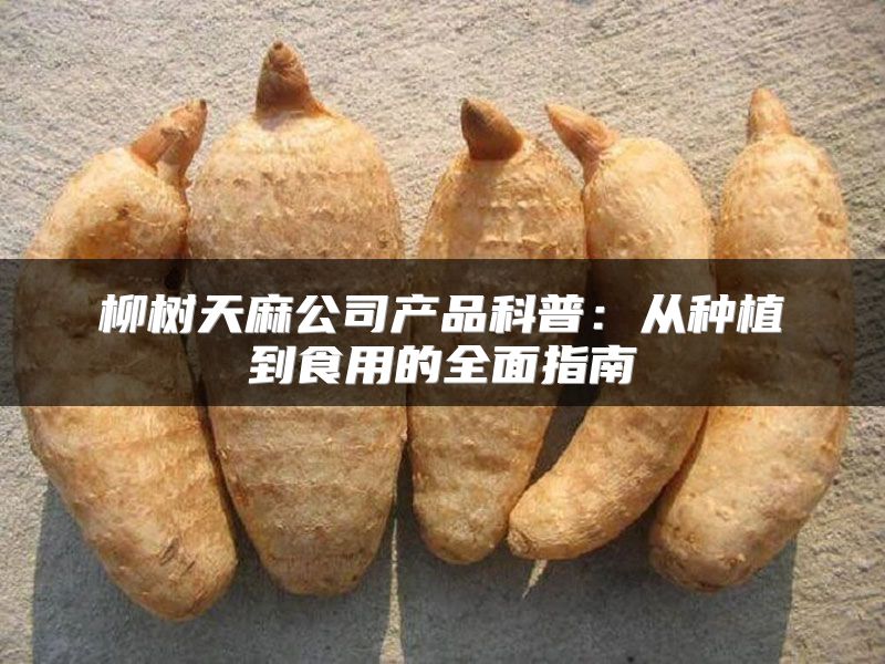 柳树天麻公司产品科普：从种植到食用的全面指南