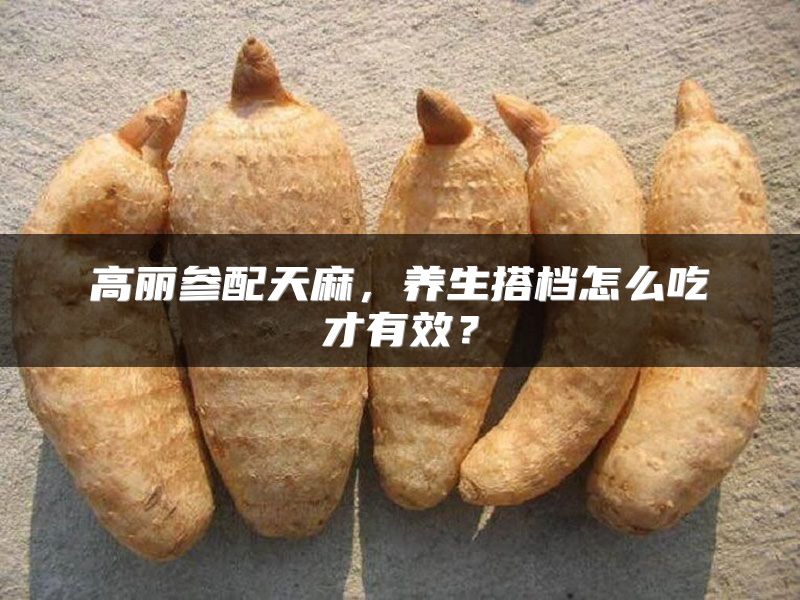 高丽参配天麻，养生搭档怎么吃才有效？