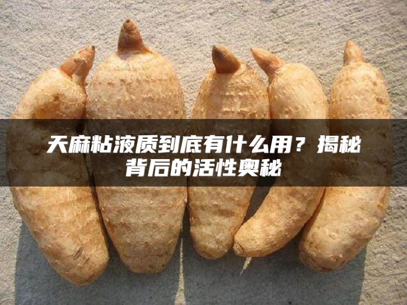 天麻粘液质到底有什么用？揭秘背后的活性奥秘