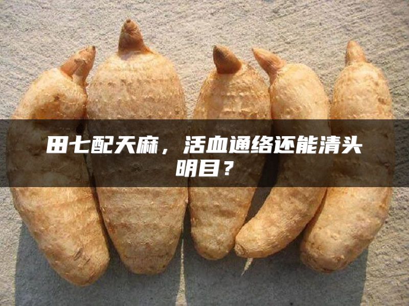田七配天麻,活血通络还能清头明目?