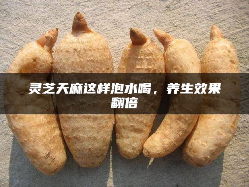 灵芝天麻这样泡水喝，养生效果翻倍