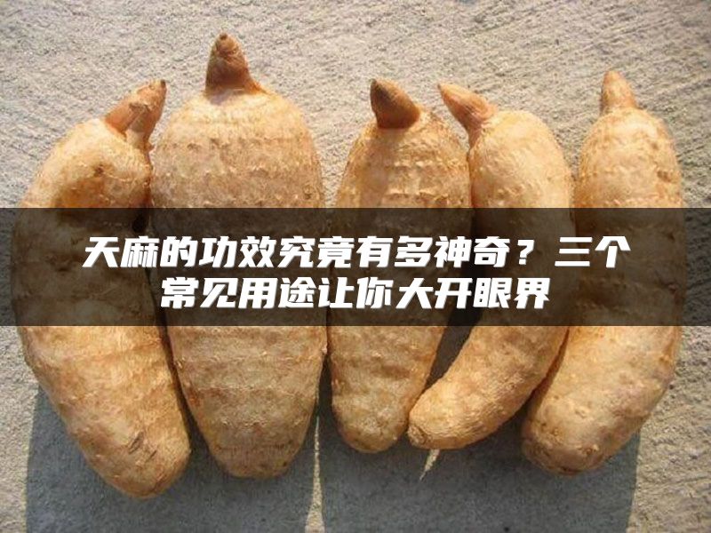 天麻的功效究竟有多神奇?三个常见用途让你大开眼界