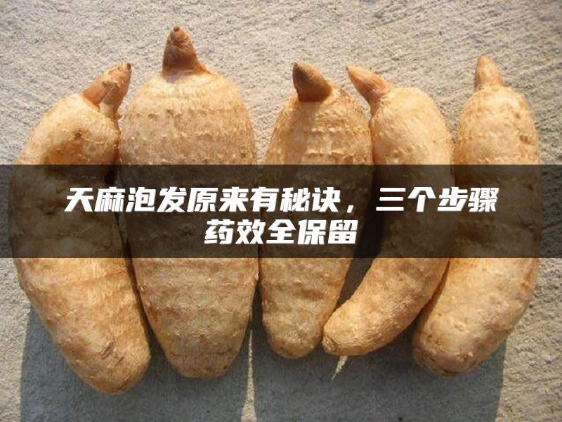 天麻泡发原来有秘诀，三个步骤药效全保留