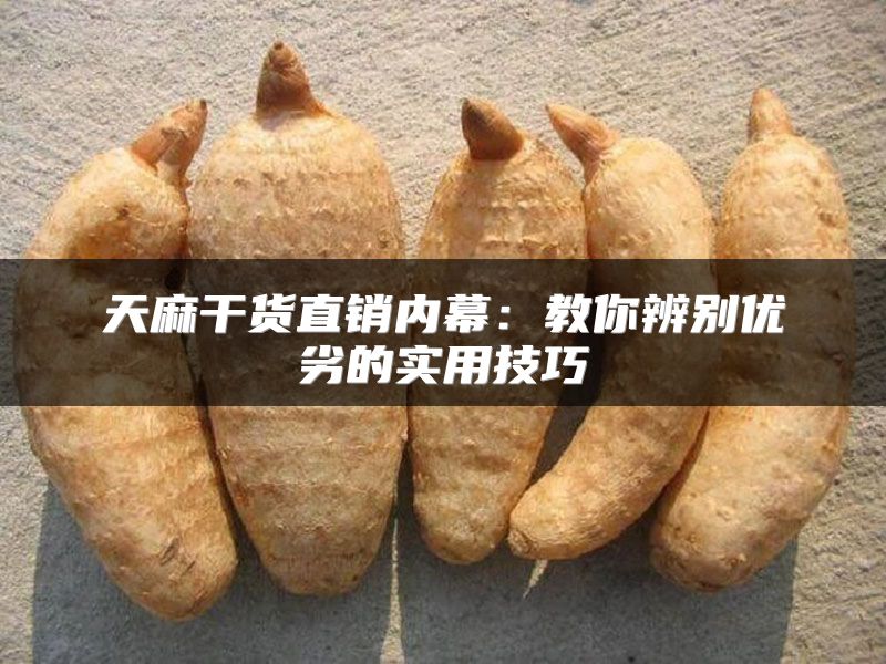天麻干货直销内幕:教你辨别优劣的实用技巧