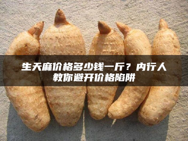 生天麻价格多少钱一斤？内行人教你避开价格陷阱