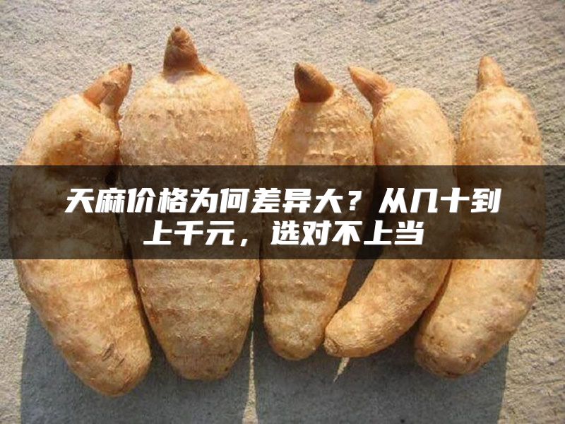 天麻价格为何差异大？从几十到上千元，选对不上当