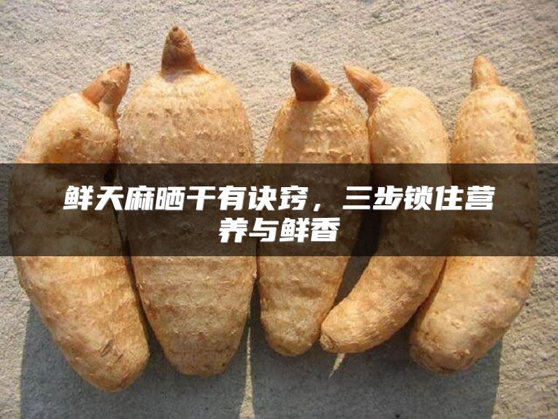 鲜天麻晒干有诀窍，三步锁住营养与鲜香