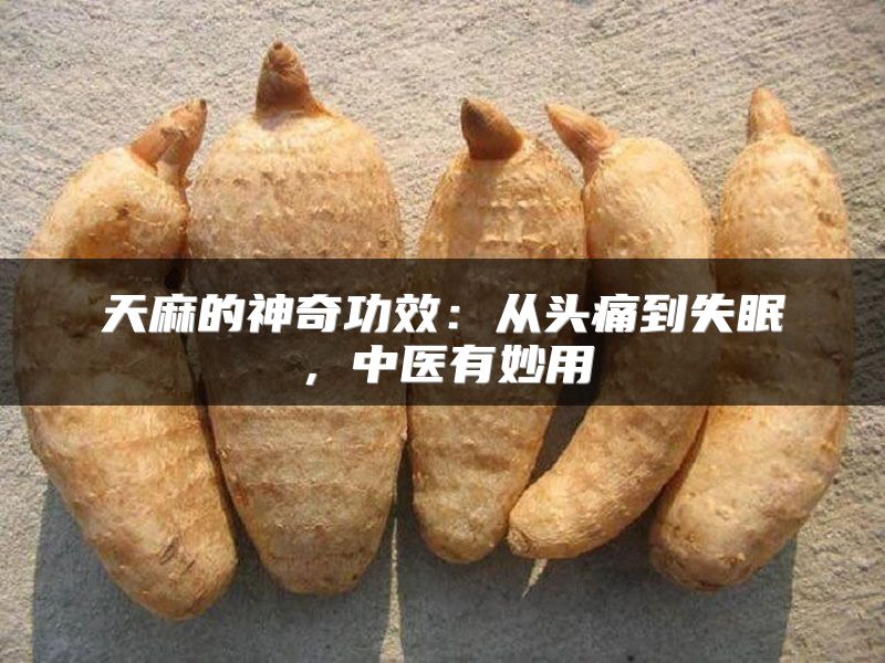 天麻的神奇功效：从头痛到失眠，中医有妙用