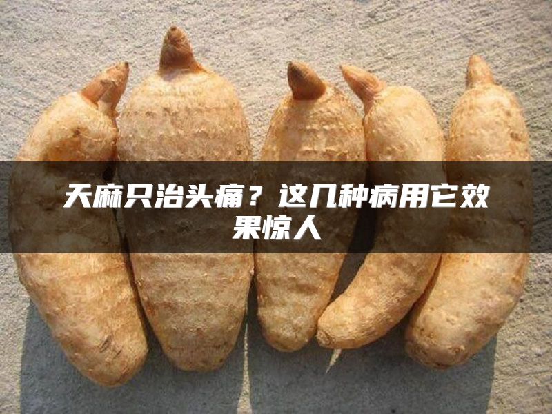 天麻只治头痛?这几种病用它效果惊人