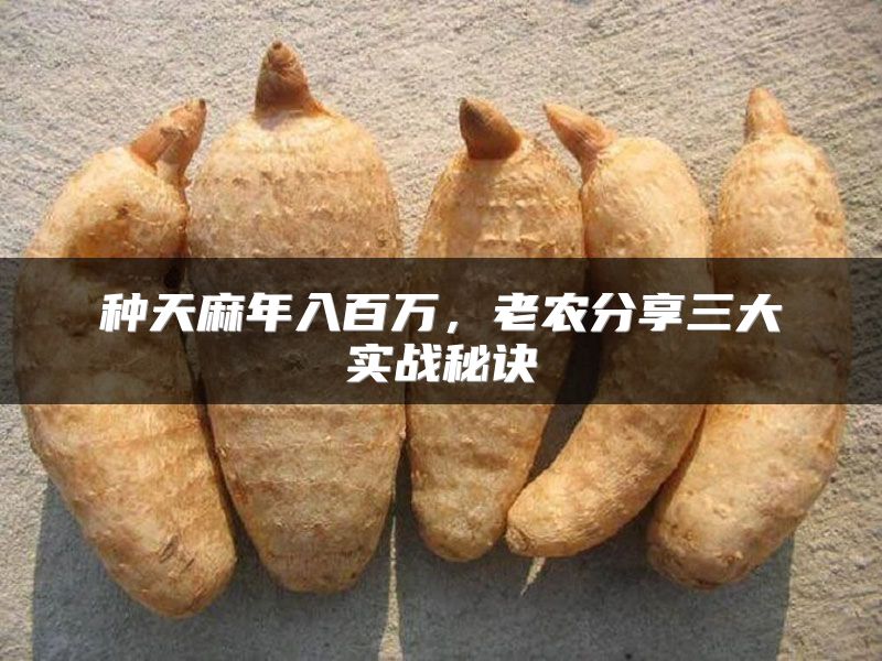 种天麻年入百万，老农分享三大实战秘诀